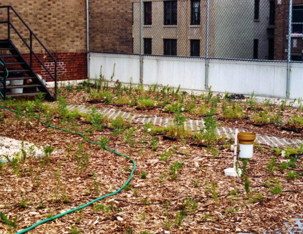 Photo 6, St Simon Stock edited