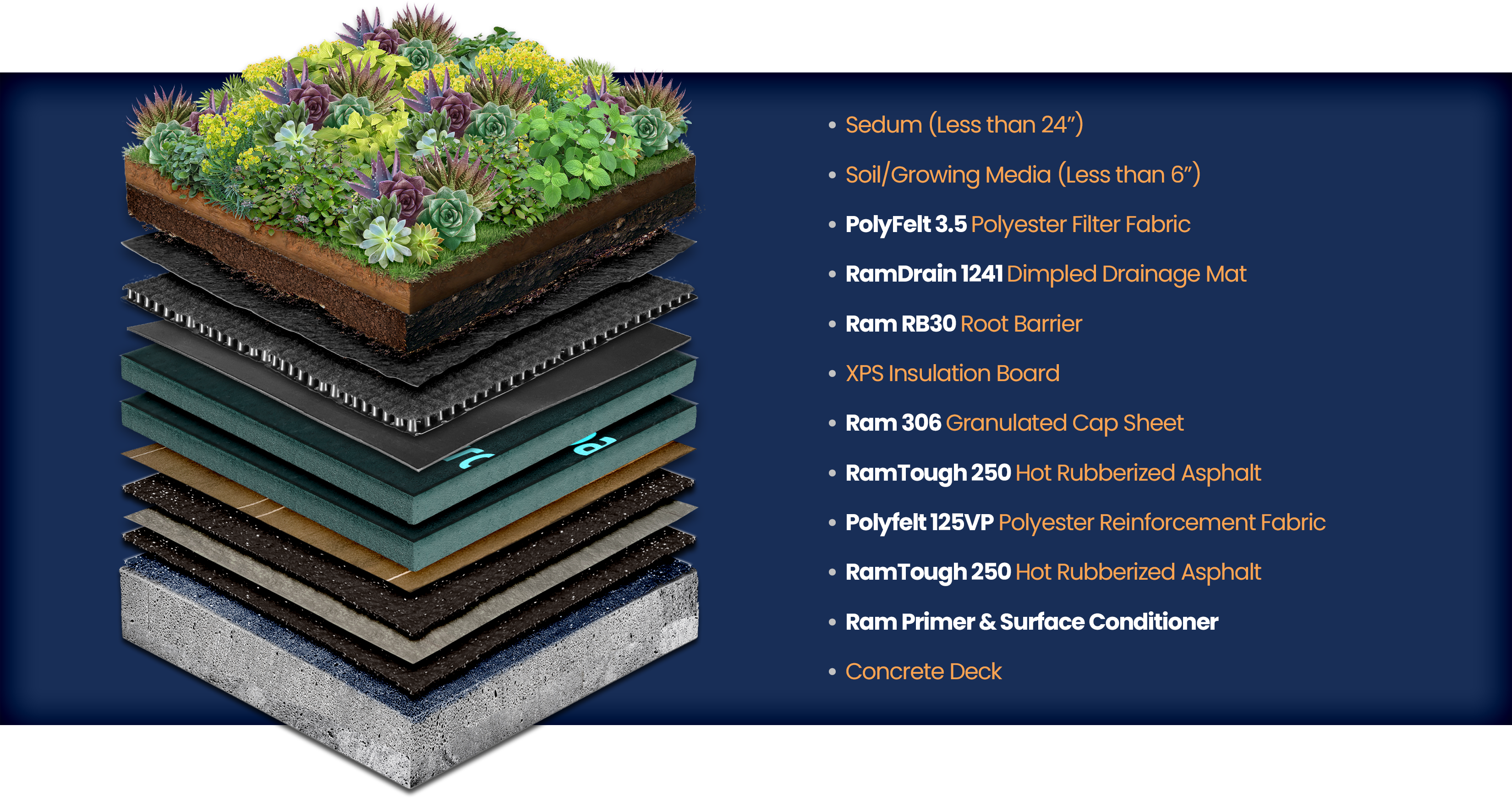 IMF - Greenroof Illustration